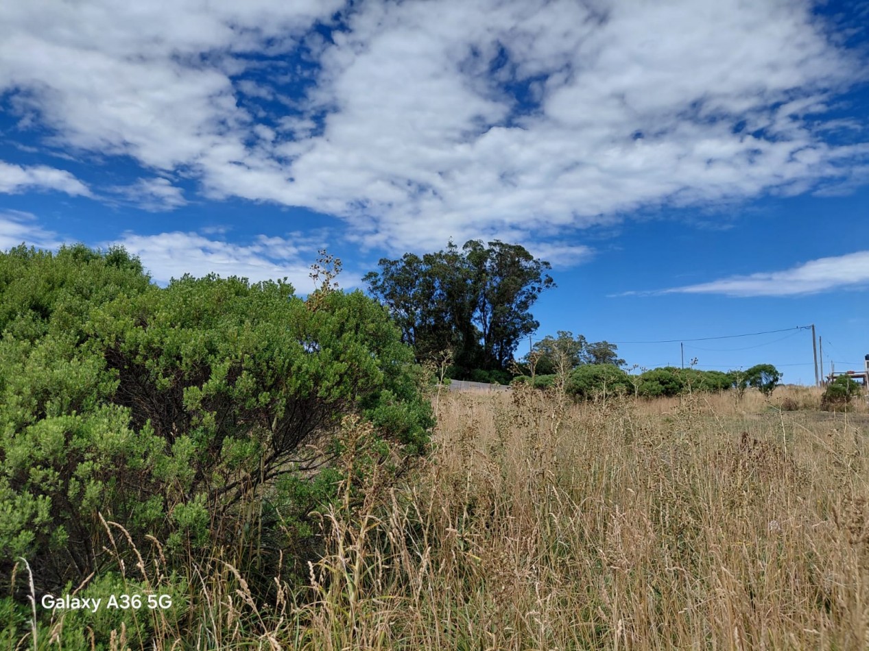 VENTA LOTE EN SAN EDUARDO DE CHAPADMALAL