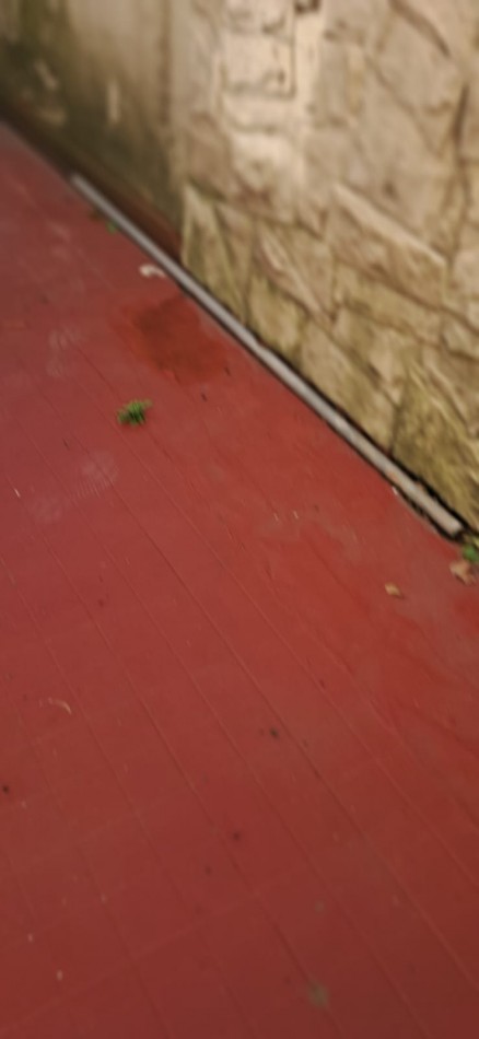 DEPARTAMENTO 3 AMBIENTES CON PATIO Y BAULERA