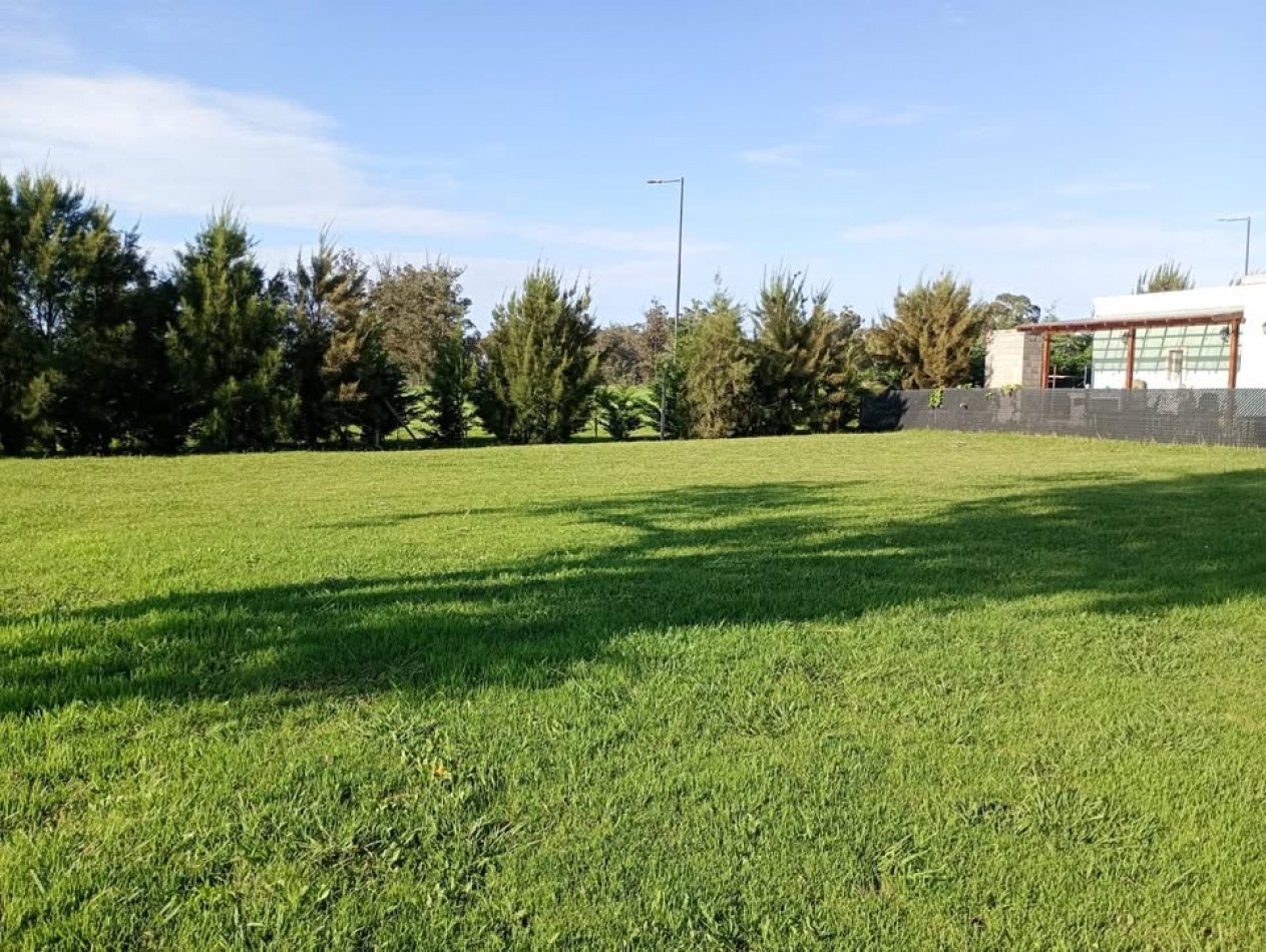 TERRENO EN BARRIO LA AURELIA