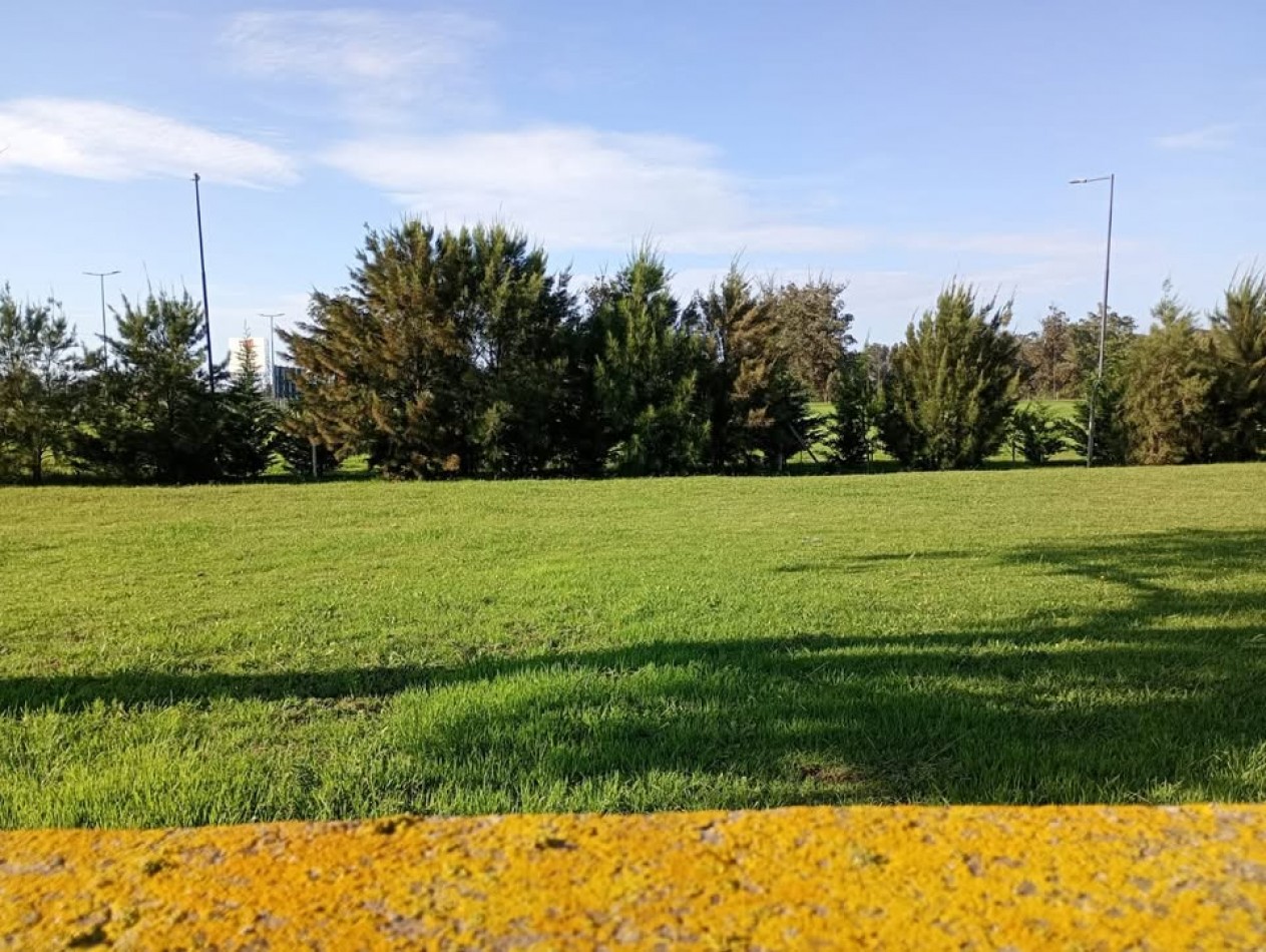 TERRENO EN BARRIO LA AURELIA